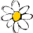 daisy.gif (565 bytes)